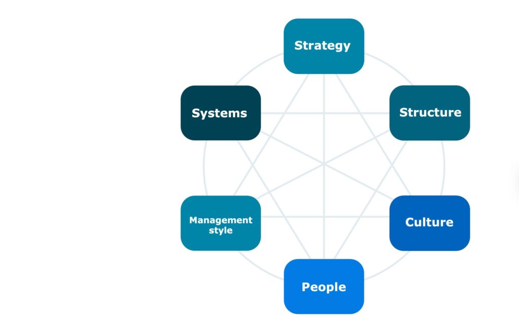 schema met 6 elementen